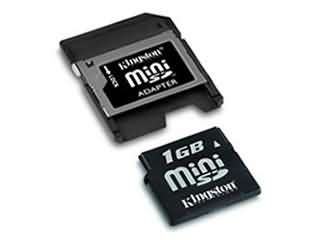 Kingston 1GB Mini SD Card