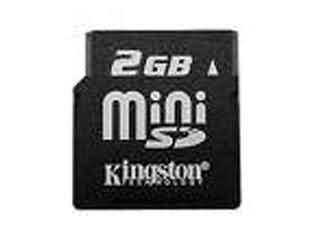Kingston 2GB Mini SD Card
