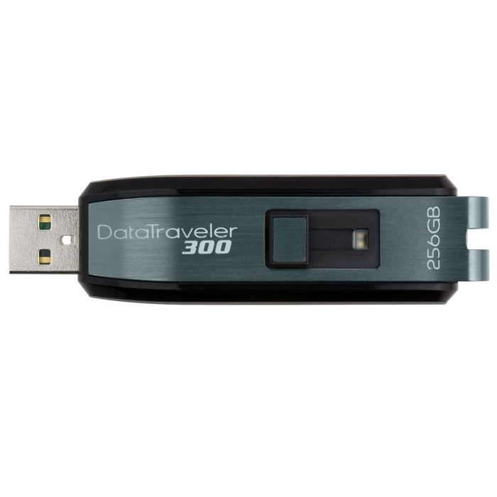 Kingston DataTraveler 300 series (256GB)