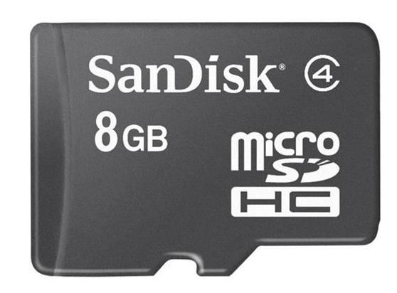 Micro SDHC (8GB)